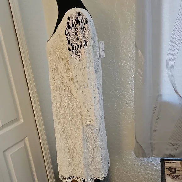 WHBM Elegant White Lace Dress - Picture 3 of 16